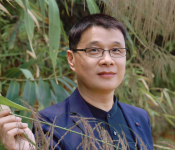 肖培东